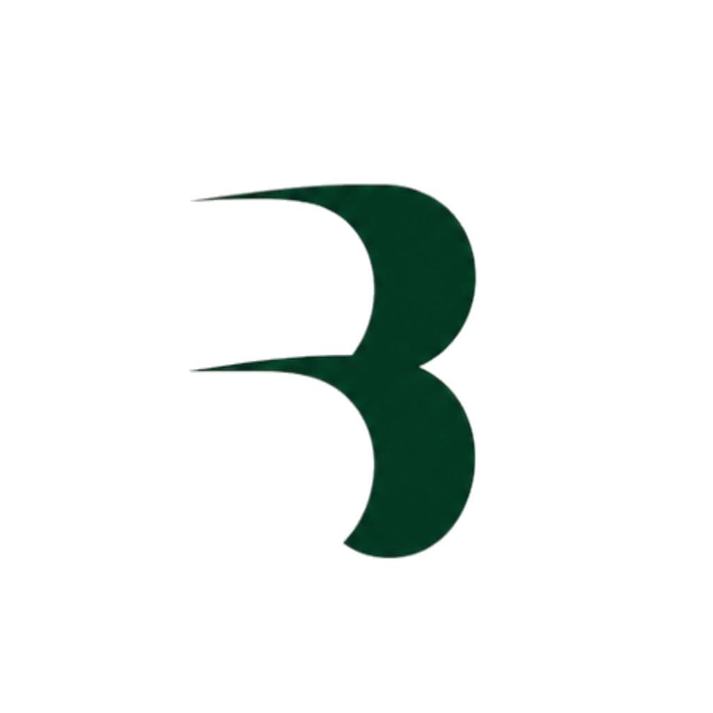 Barada AI logo